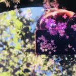 cropped-IMG-2892-1.jpg